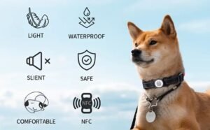 NFC & QR Code Smart Pet ID Tag