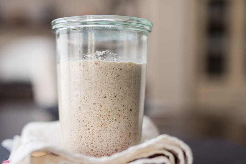 Healthy Fields Sourdough Starter