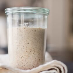 Healthy Fields Sourdough Starter