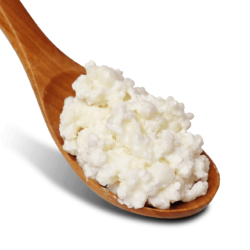 Healthy Fields Milk Kefir Grains