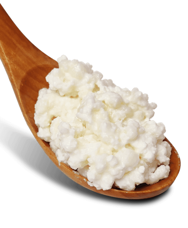 Milk Kefir Cultures