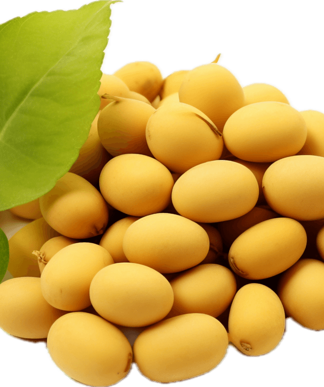 Soybeans