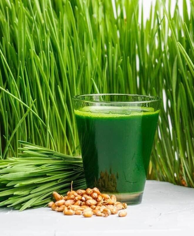 Wheatgrass Seeds