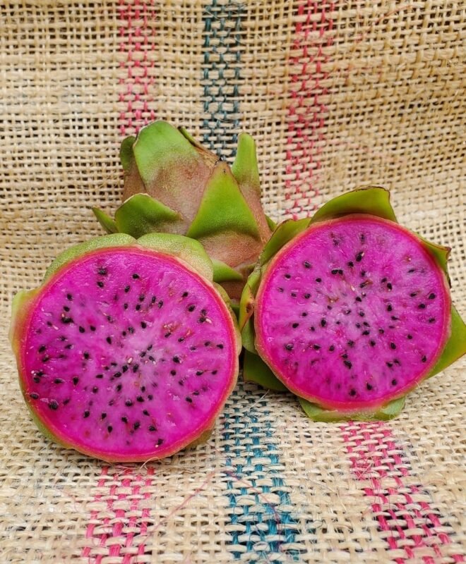 Amazing Tasting Asunta 3 Dragon Fruit Cutting