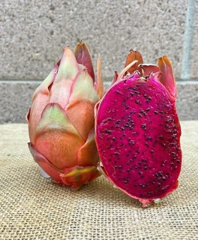 Amazing Tasting Asunta 5 Dragon Fruit Cutting
