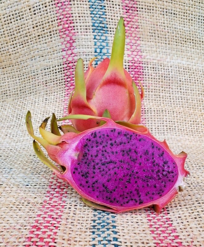 Amazing Tasting La Verne Dragon Fruit Cutting