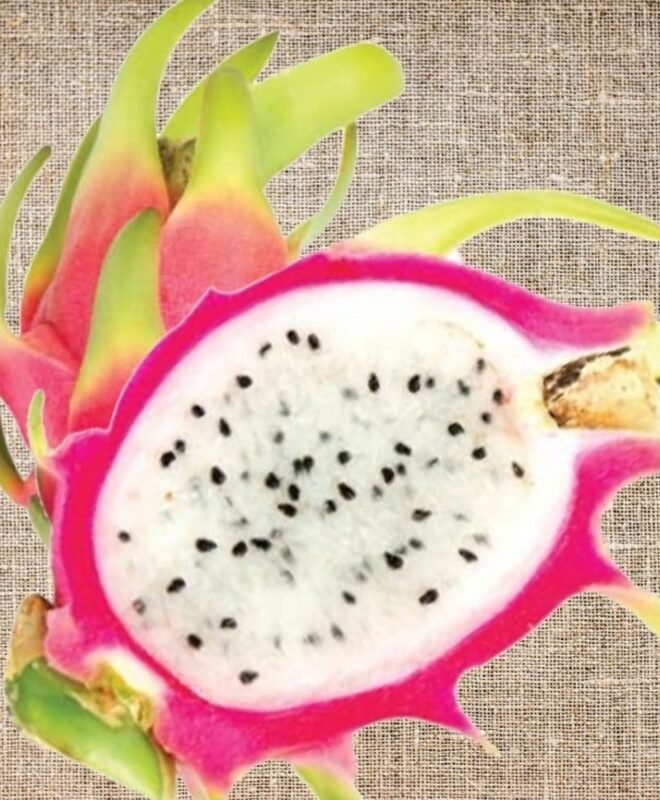 Amazing Tasting Lake Atitlan Fruit Plant Cutting