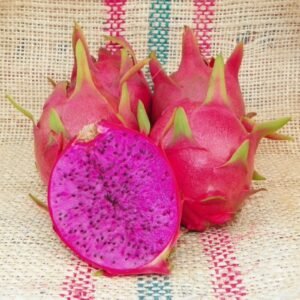 Amazing Tasting Purple Haze Dragon Fruit Plant Cutting