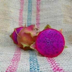 Amazing Tasting Rixford Dragon Fruit Dragon Fruit Cutting