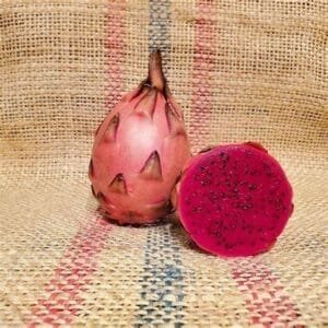 Amazing Tasting Tricia Dragon Fruit Plant Cutting