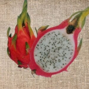 Amazing Tasting Vietnamese Jaina Dragon Fruit Plant Cutting