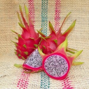 Amazing Tasting White Sapphire Dragon Fruit Plant Cutting