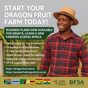 2 Hectare Dragon Fruit Farming Business Plan – Growth Starter Model