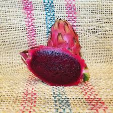 Dragon Fruit Cultivar : El Grullo