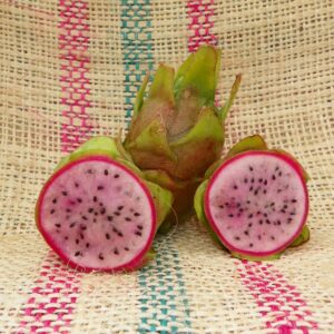 Dragon Fruit Cultivar : Kathie Van Arum