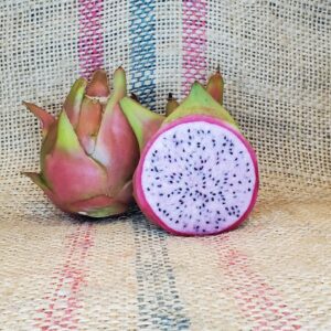 Dragon Fruit Cultivar : Laverne: Pink flesh