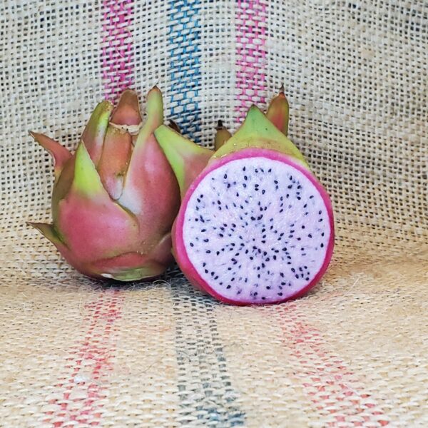 Dragon Fruit Cultivar : Laverne: Pink flesh