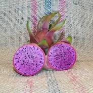 Dragon Fruit Cultivar : Laverne Red