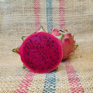 Dragon Fruit Cultivar : San Ignacio