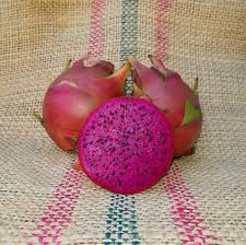 Dragon Fruit Cultivar : Shayna