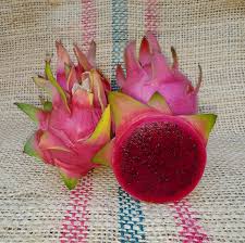 Dragon Fruit Cultivar: Sin Espinas