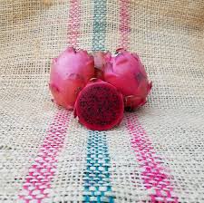 Dragon Fruit Cultivar : Valdivia Roja