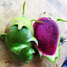Dragon Fruit Cultivar : Vietnam Green Skin Red Flesh