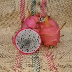 Dragon Fruit Cultivar : White Supreme