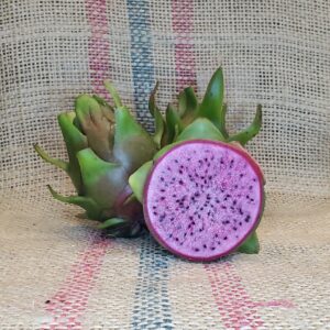 Dragon Fruit Cultivar : Edgar's Baby