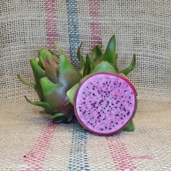 Dragon Fruit Cultivar : Edgar's Baby