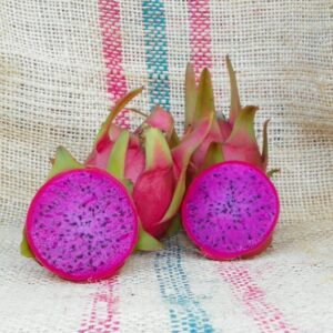 Dragon Fruit Cultivar : Halley's Comet
