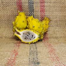 Dragon Fruit Cultivar : Colombian Yellow