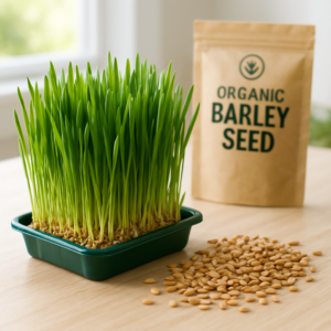 🌾 Organic Barley Seed – Grow Nutrient-Rich Barley Grass at Home Get your green glow on! Our Organic Barley Seeds are your key to cultivating vibrant barley grass—right from your countertop. In just days, you can harvest lush green blades bursting with nutrition, perfect for juicing and adding to your wellness routine. It’s a fresh, sustainable way to make your own superfood supplement. 🥤 Juice for daily detox and energy 🌿 Loaded with vitamins, minerals, chlorophyll, and antioxidants 🧑‍🌾 Easy home-growing method for health enthusiasts and beginners 📦 One pack grows several trays of barley grass—ideal for kitchen gardens and juice bars