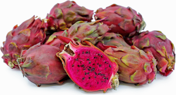 Dragon Fruit Cultivar : Sugar Dragon S8